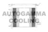 AUTOGAMMA 103284 Condenser, air conditioning